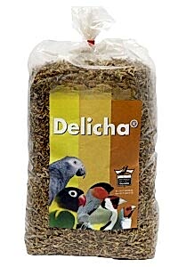 Floralia Delicha Doğal Bağışıklık Sistemi Kuvvetlendirici Özel Tohum 100 gr - Floralia