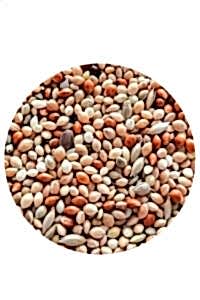 Petdoys Karışık Muhabbet Kuşu Yemi 5 KG - PETDOYS