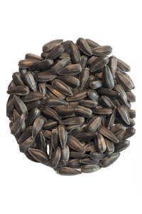 Petdoys Papağan Türleri Için Organik Mikro Çekirdek 250 Gram - PetDoys