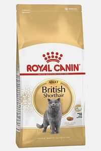 Royal Canin British Shorthair Adult Yetişkin Kedi Maması 2 KG - ROYAL CANIN